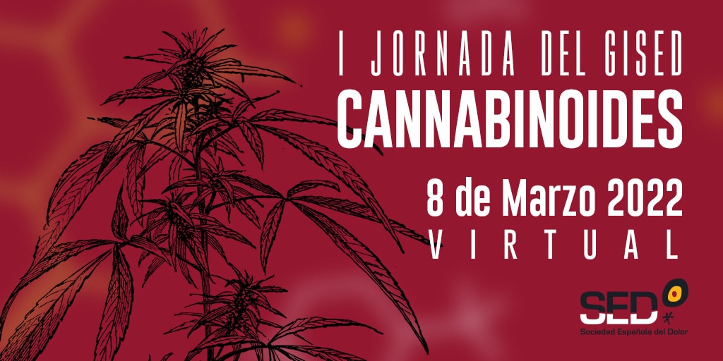 Jornada Online Cannabinoides